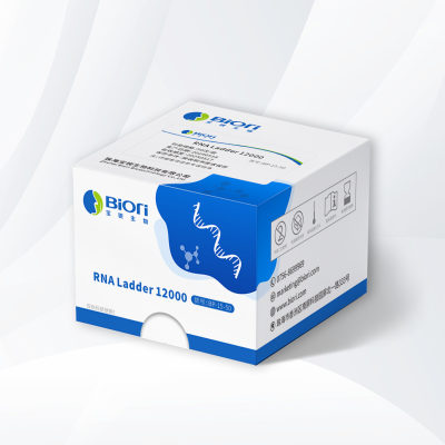 RNA ladder 12000