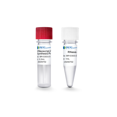 4×Neoscript® All-in-one 1st cDNA Synthesis Premix for qPCR