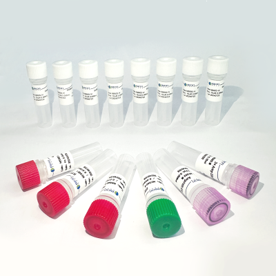 DNA&RNA Library Prep Kit For Illumina (DNA&RNA Co-built Library Kit)