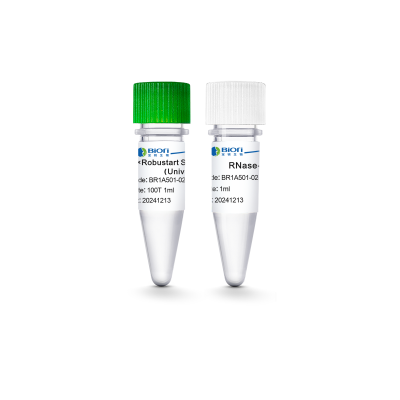 2&times; Robustart SYBR qPCR Premix (Universal ROX)