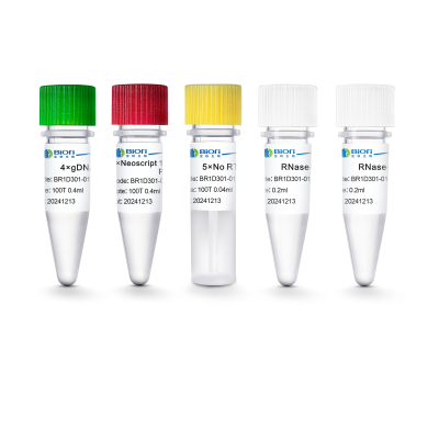 Neoscript® 1st cDNA Synthesis Premix for qPCR (＋gDNA wiper)