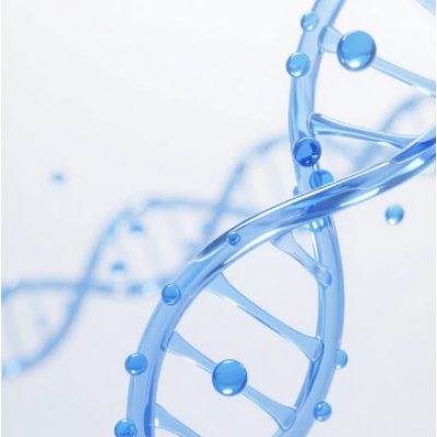 2&times; FastAmpli U+ Probe qPCR Premix (Universal ROX)
