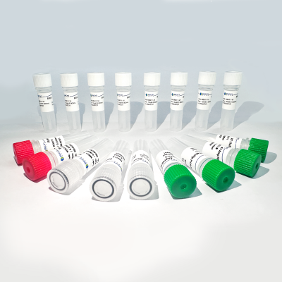 呼吸道感染性疾病多重病原靶向建库试剂盒