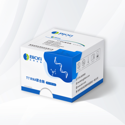 T7 RNA 聚合酶