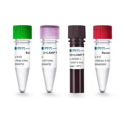 RT Lamp Premix Plus (Dye Ⅱ) (064801) (Bst3.0 HS)