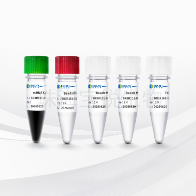 AcuGenix™ mRNA Capture Beads