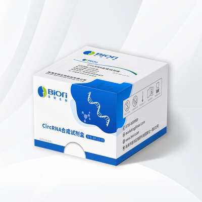 CircRNA合成试剂盒