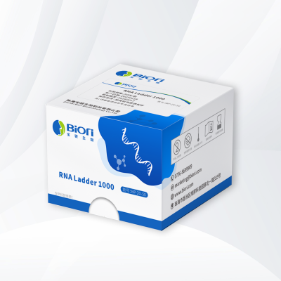 RNA Ladder 1000