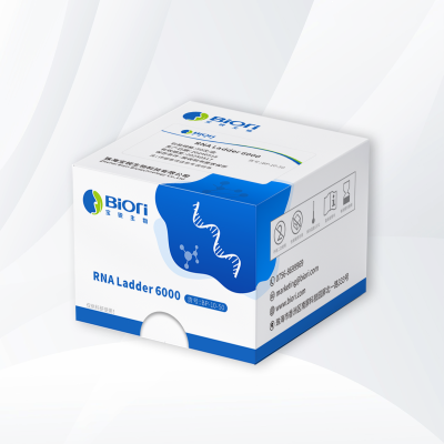 RNA Ladder 6000