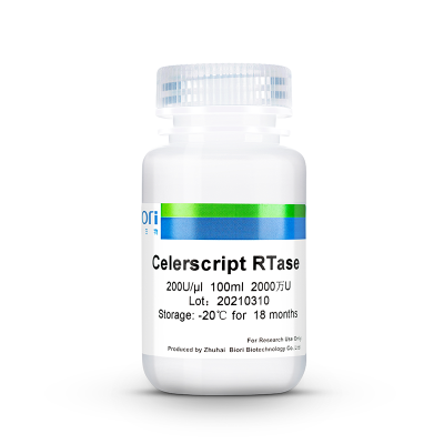 Celerscript® RTase(货号E12)