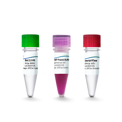 2×Colorimetric RT-LAMP Premix (RY)