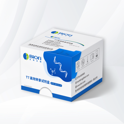 T7 高效转录试剂盒