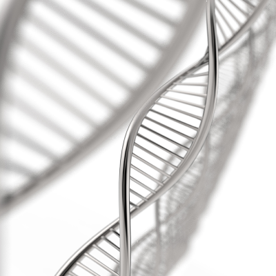 3×Novel GC Buffer（Mg²+ free）