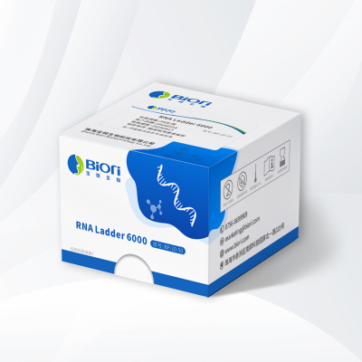 RNA Ladder 6000