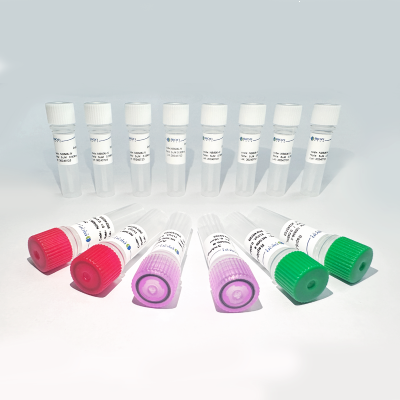 Fast DNA Library Preparation Kit