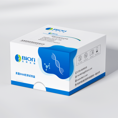 Fungal DNA Detection Kit (PCR-Fluorescence Probe Method)